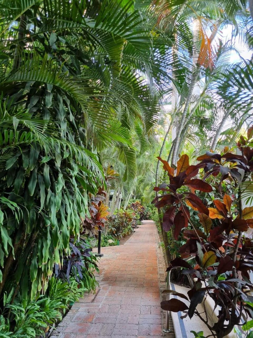 2 Bedroom Treetop Apartment Puerto Vallarta
